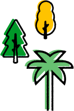 04-arbres copy