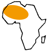 picto-sahel copy
