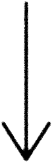 04-fleche-3 copy