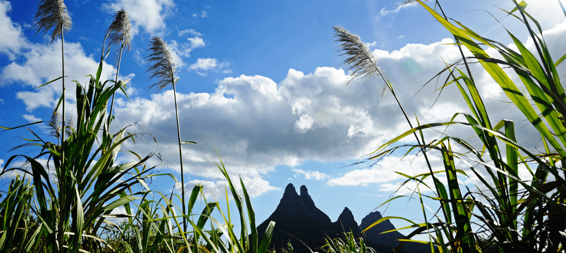 climat-ok-fabien-dubessay-afd-ile-maurice
