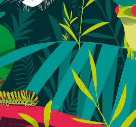 data4nature copy