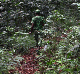 gabon-adn-braconnage copy