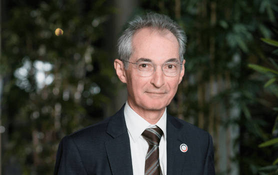 francois-pacquement copy