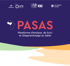 pasas-developpement copy