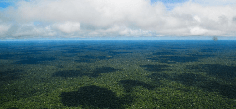 proteger-amazonie copy