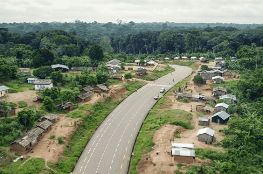 proteger-forets-congo copy