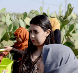 societe-civile-tunisie copy